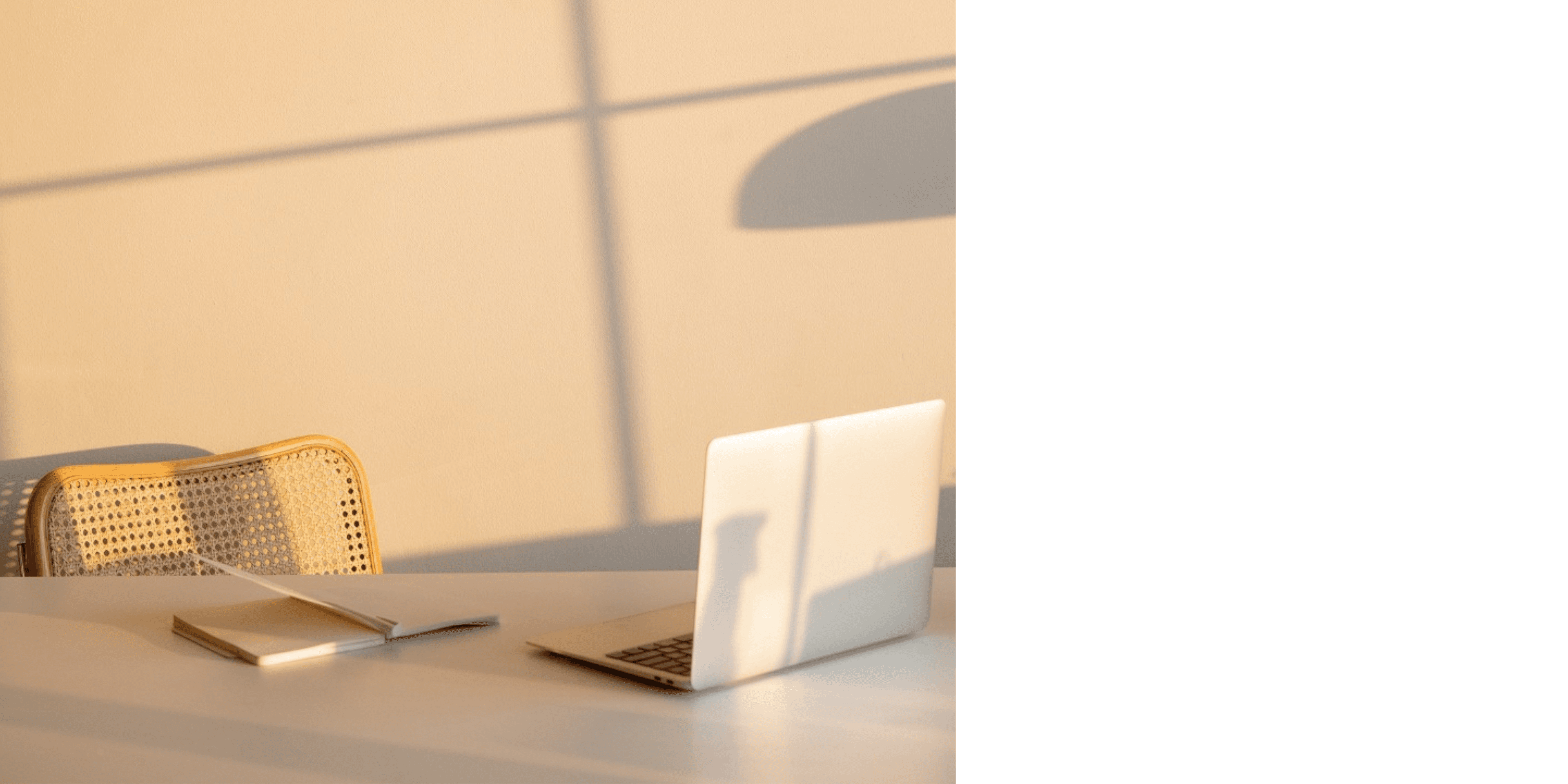 Women In directory product preview